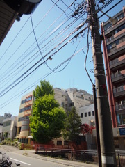明るすぎたっ