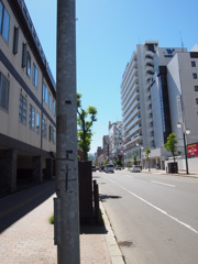 道路