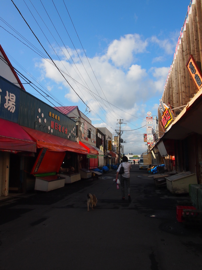 函館に行ってきたけど観光無し030