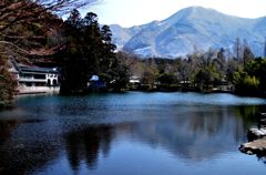 金鱗湖