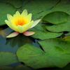 IMG_8458a.jpg