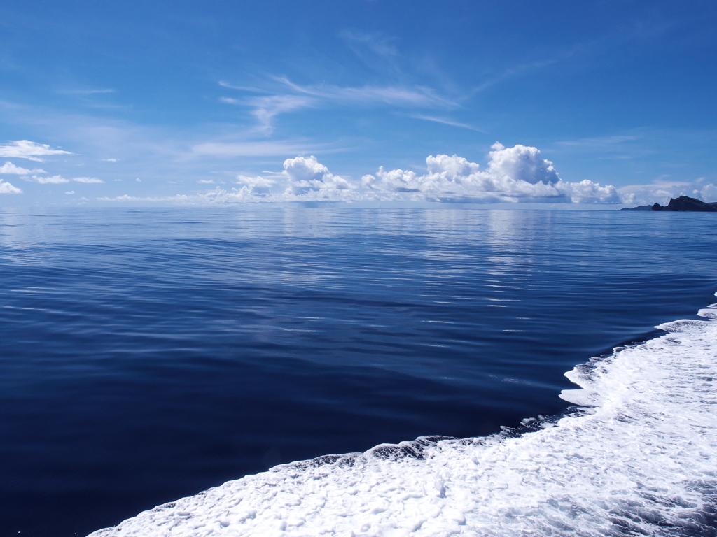 BONIN BLUE