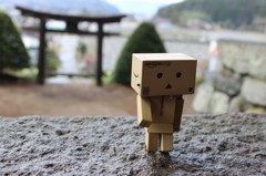 ダンボーお参りする。