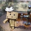 さくらがおちてきた