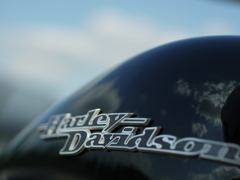 Harley Davidson