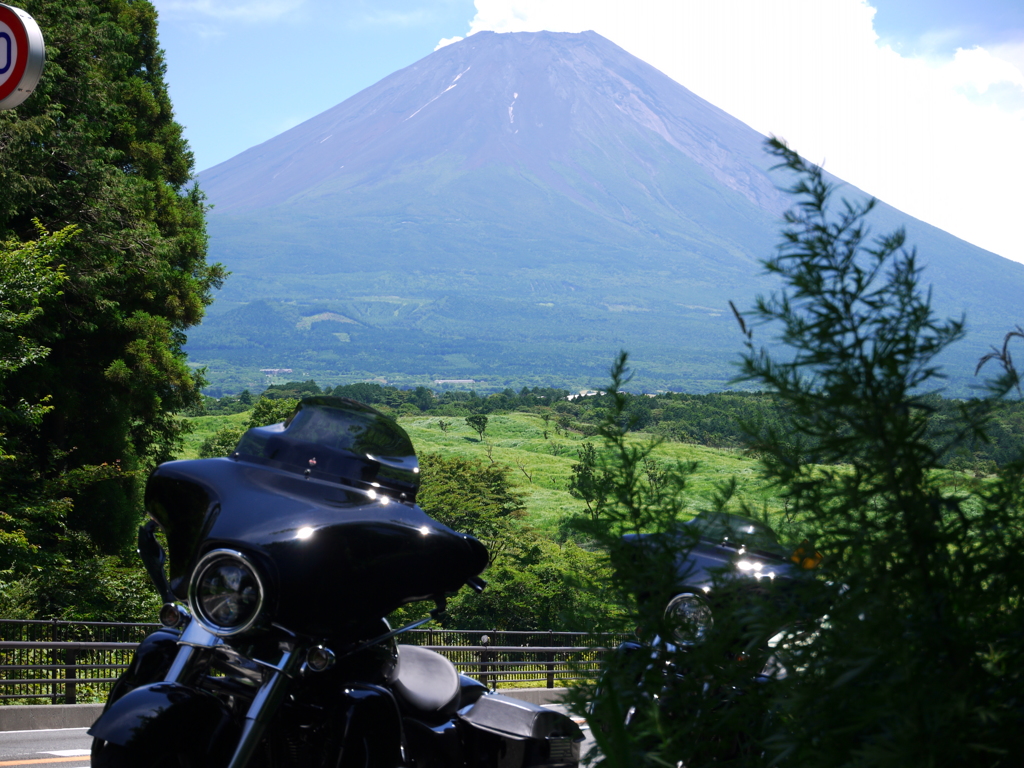 祝・世界遺産登録