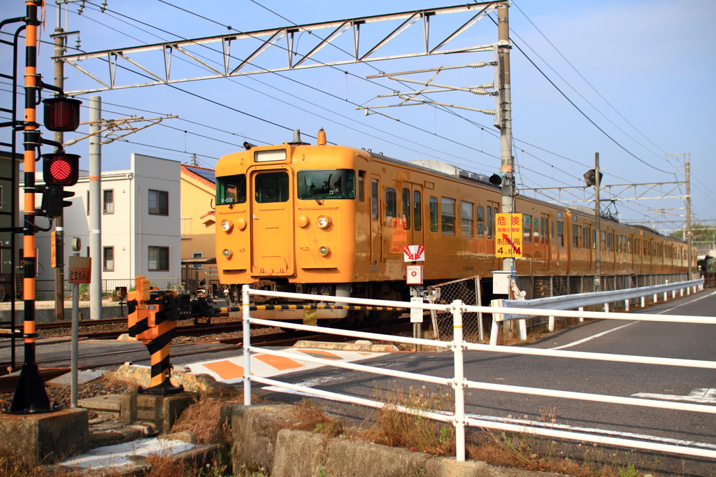 黄色い電車