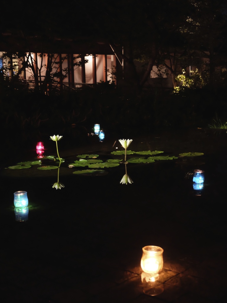 夜の植物園