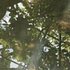 池