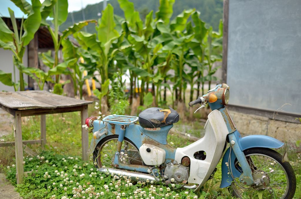 郷愁