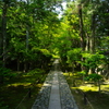 京都鹿王院新緑の石畳