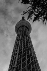 DSC_0826