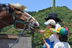 トロッコに乗りに来たのかい？