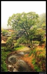 IMG_4440_副本