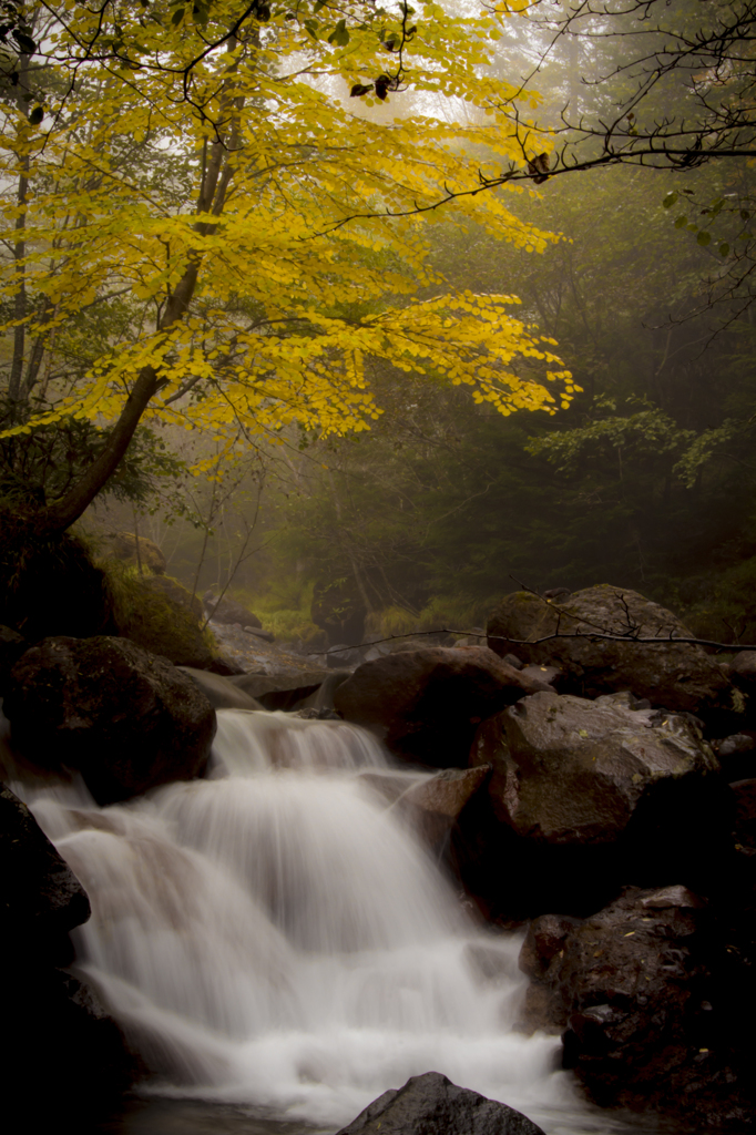 北沢の紅葉