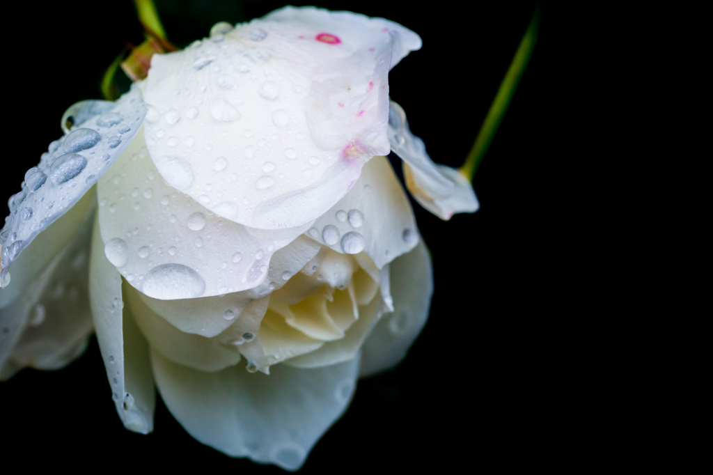 雨上がる