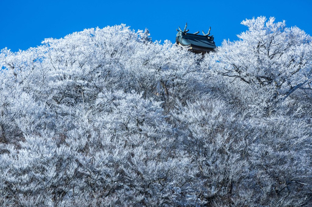 霧氷と神社