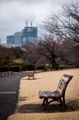 寒空ベンチ