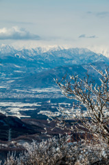 氷木と谷川岳