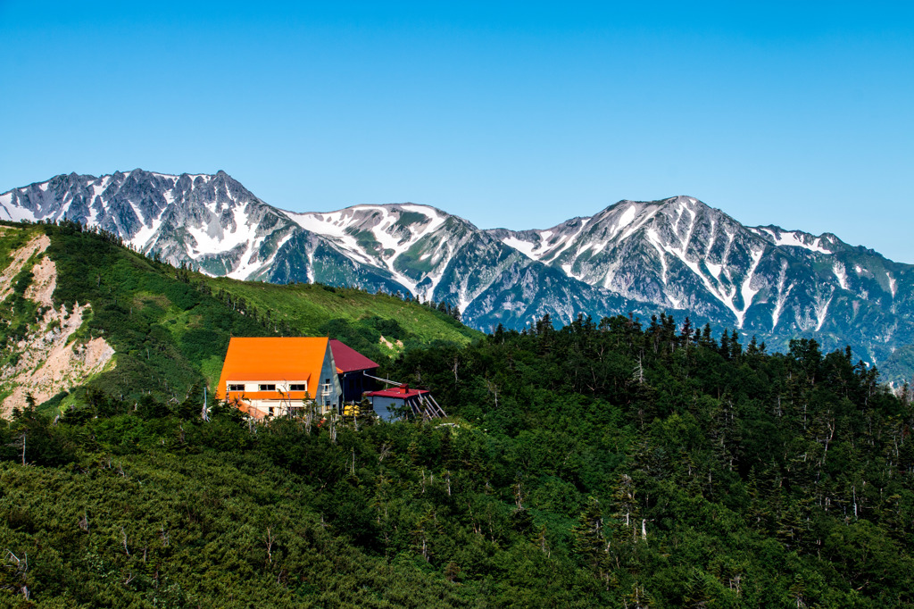 最夏の種池山荘