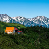 最夏の種池山荘