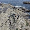 えのしまさんぽ