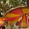 木陰の遊園地
