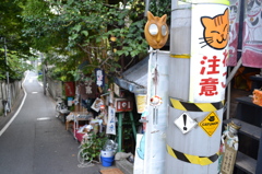 散歩道