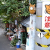 散歩道