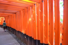 鳥居が続く道