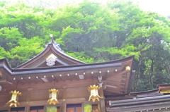 神社と森