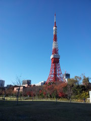 東京タワー