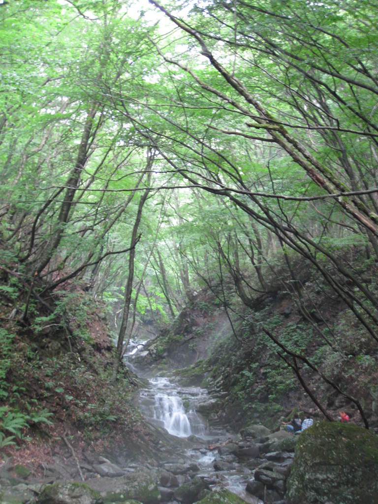 木の葉トンネル