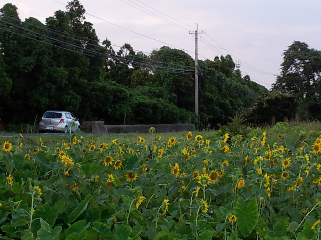 夏の終わり