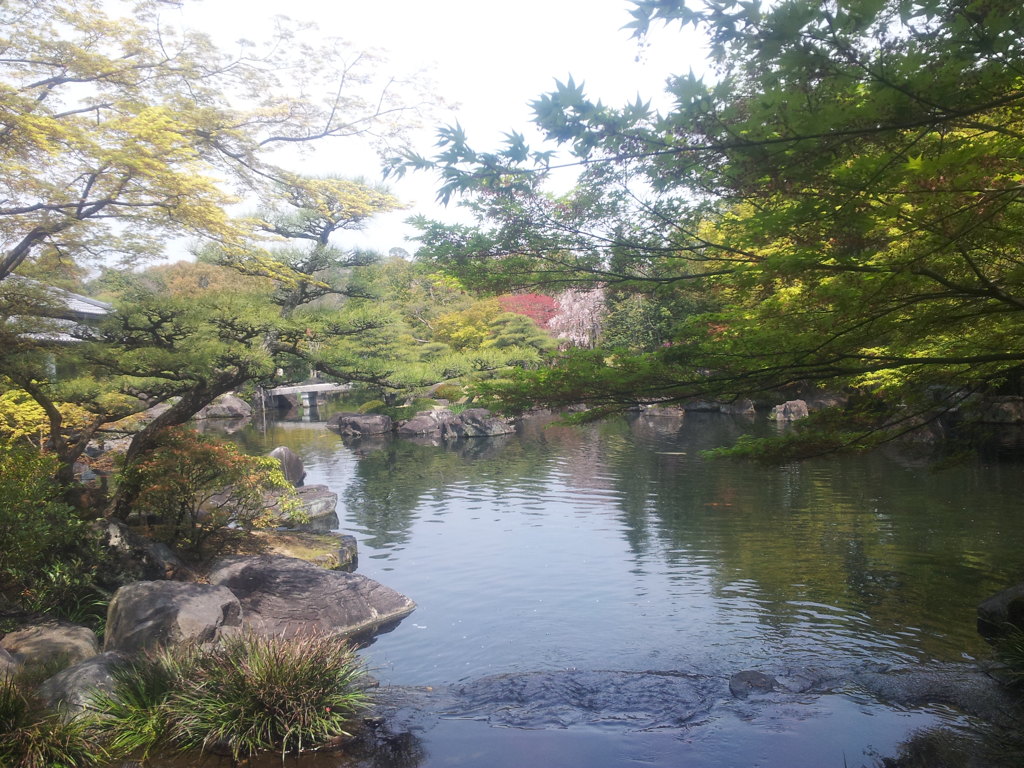 池に映る世界