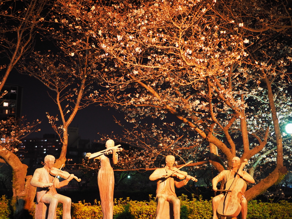 桜の下のオーケストラ