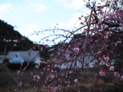 立春のころ