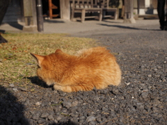 気まま