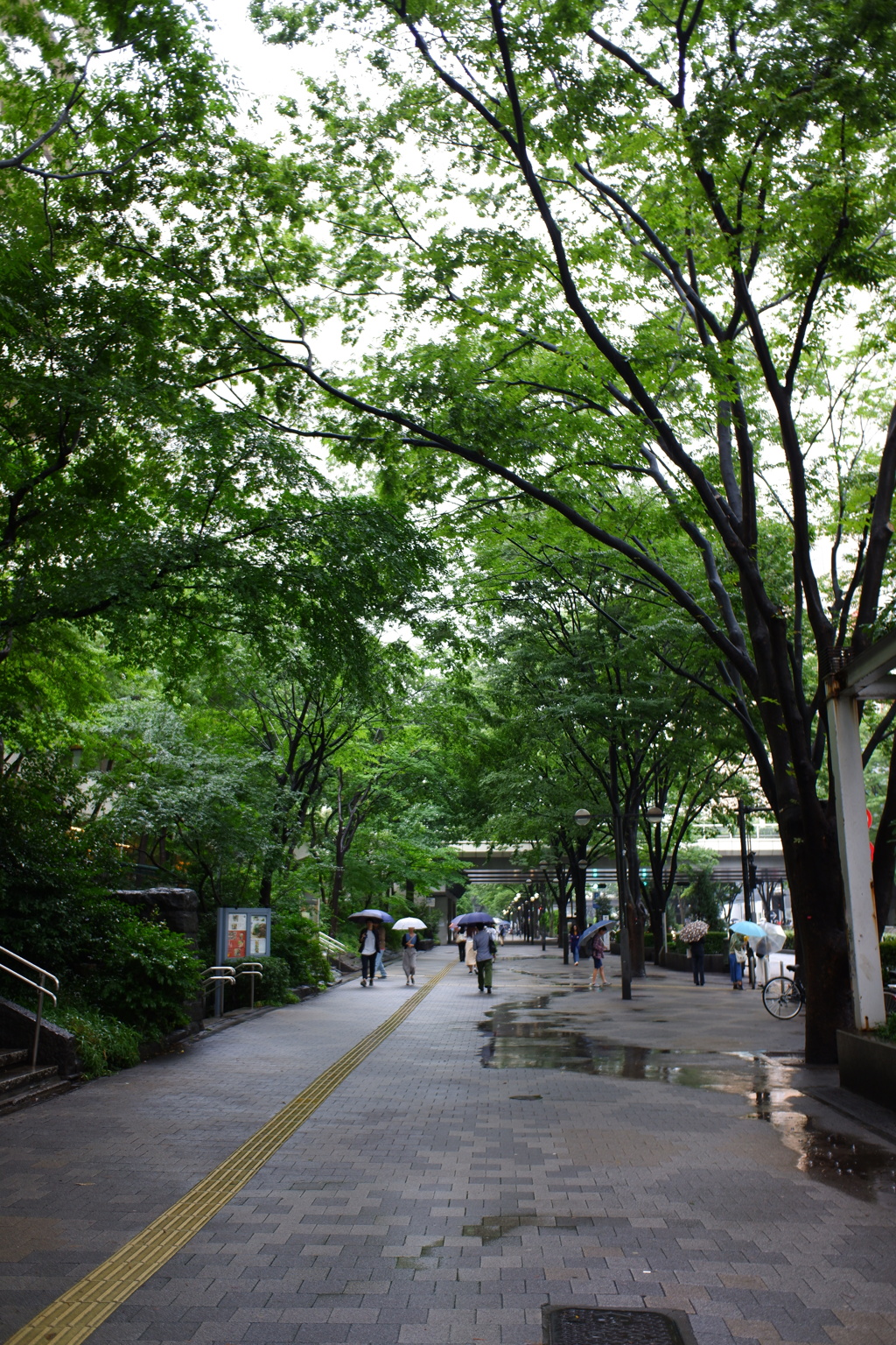 緑の多い町