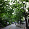 緑の多い町