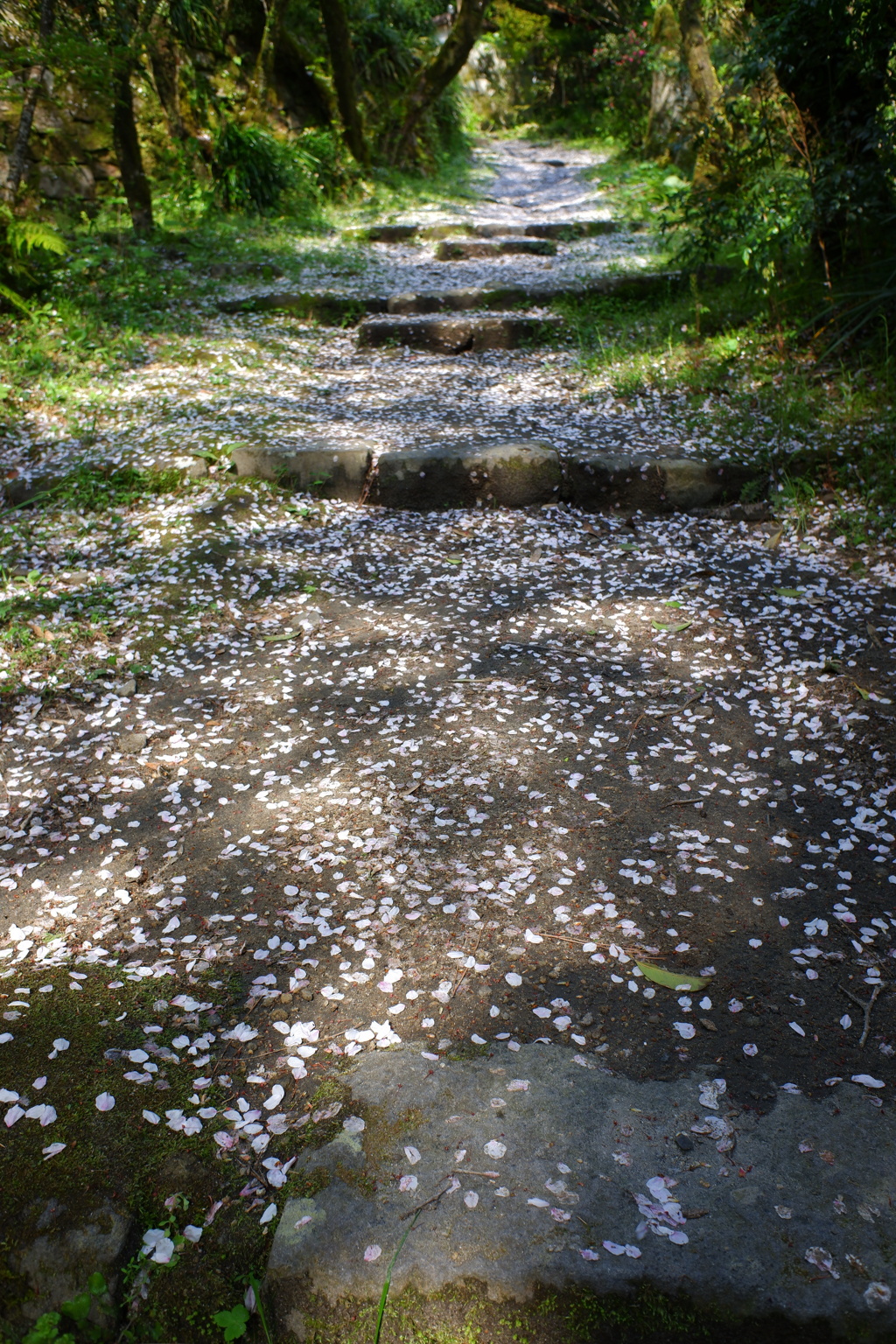 花道