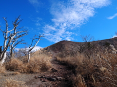 登山日和