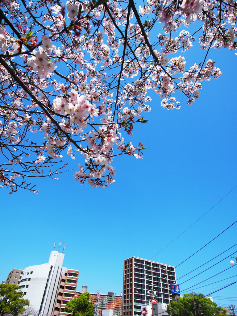 町風景