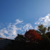 気づく人はいるか