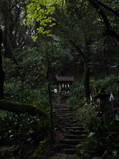 登った先に