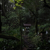 登った先に