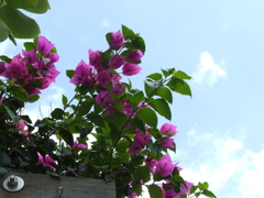 高い位置から失礼します。