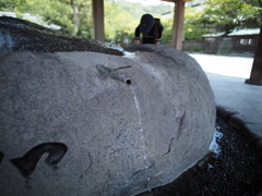 手を清めよ