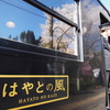 桜が生える車体