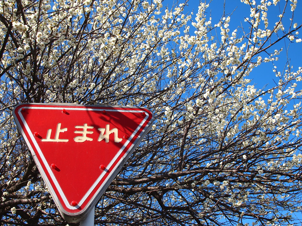 止まれ